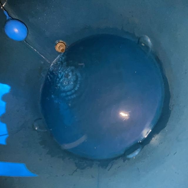 Serviço realizado pelo Grupo Lavato
